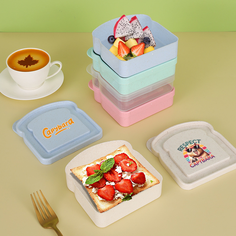 Capybara Sandwich Food Storage - Food Snacks Box recension och pris